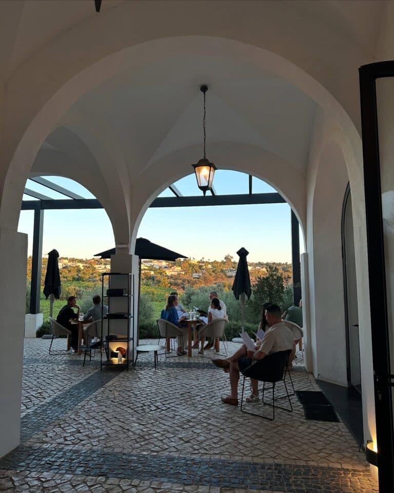 KOL & Social Campaigns